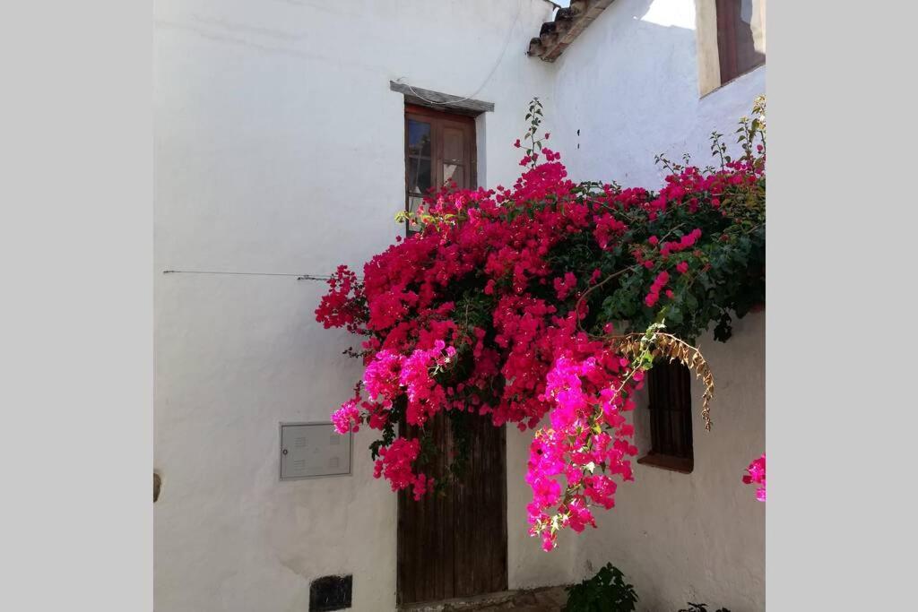 Casa En Fortaleza Medieval Castellar de la Frontera Exteriér fotografie